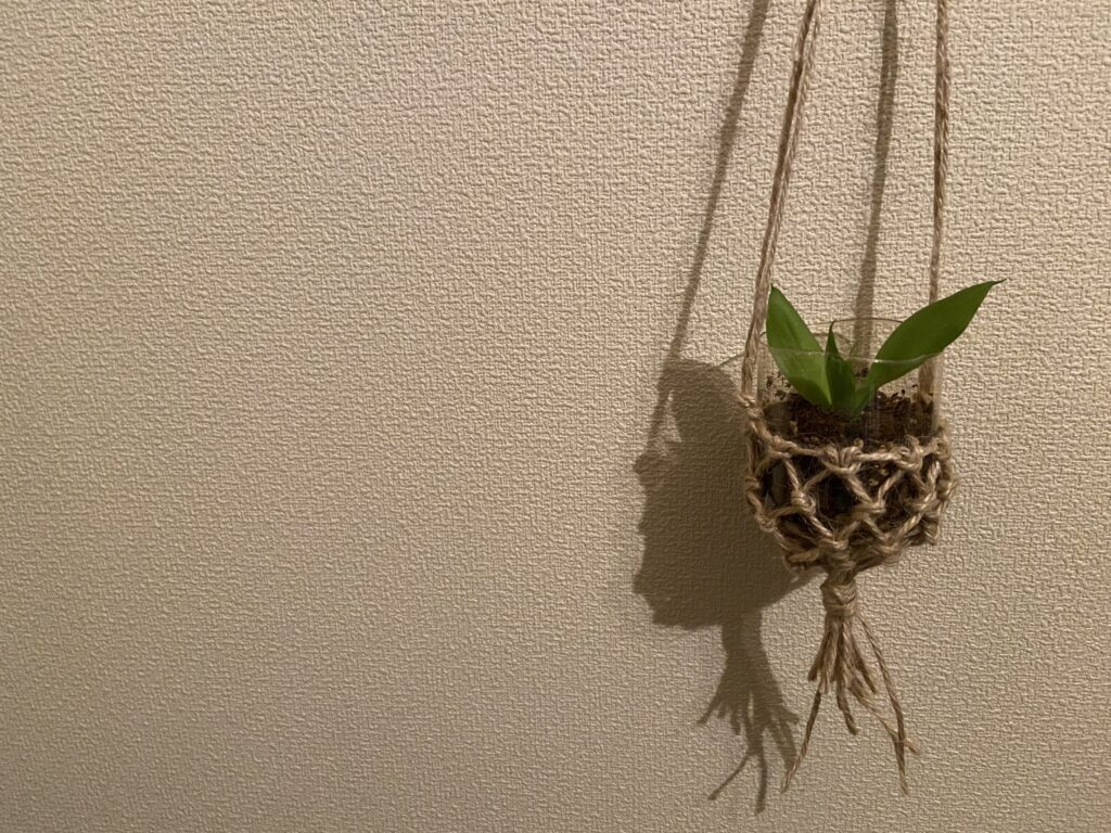 タダとは思えないほど可愛い ペットボトルプランターと簡単プランツハンギングの作り方 わしらの図鑑